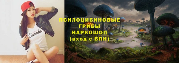 прущая мука Вязники