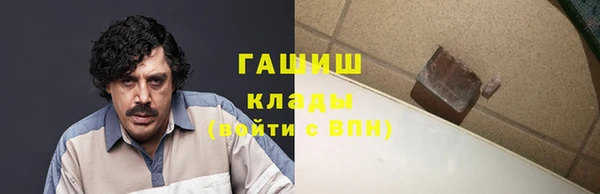 прущие грибы Вязьма