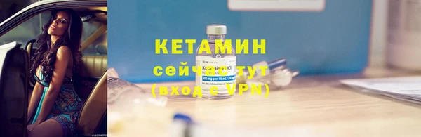прущие грибы Вязьма