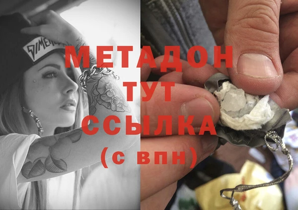 прущие грибы Вязьма