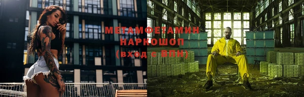 прущие грибы Вязьма