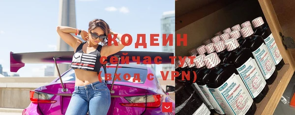 прущие грибы Вязьма