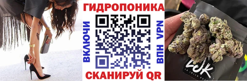 сколько стоит  Данков  МАРИХУАНА VHQ 